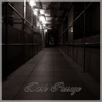 WMRI - Dark Passage (2012)