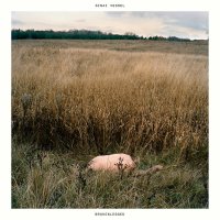 Sinai Vessel - Brokenlegged (2017)