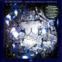 In The Woods ... - Three Times Seven On A Pilgrimage (2000)