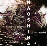 David Sylvian - When Loud Weather Buffeted Naoshima (2007)  Lossless
