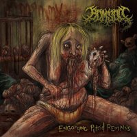 Various Artists - BDMSDCC - Engorging Putrid Remains (2015)