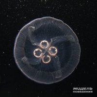 Модель Поведения - Модель Поведения (2015)
