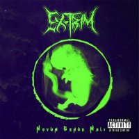 Ex-Trim - Novum Genus Mali (2017)