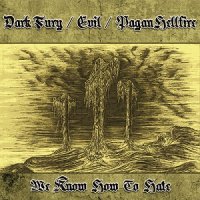 Dark Fury & Evil & Pagan Hellfire - We Know How To Hate [Split] (2012)