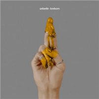 Anberlin - Lowborn (2014)