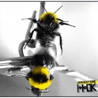 Jeavestone - 1+1=OK (2010)