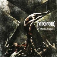 Neochrome - Downfall / Collapse (2009)  Lossless