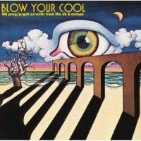 VA - Blow Your Cool: 20 Prog/Psych Assaults From the UK (2007)