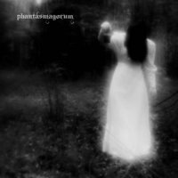 Phantasmagorum - I (2017)
