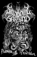 Shadows Ground - Phantom Of Dead Star (2011)