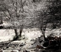 Grieving Age - In Solace Enthroned by Thorns (2007)