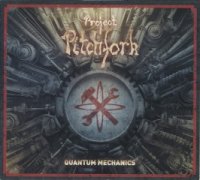 Project Pitchfork - Quantum Mechanics (2011)