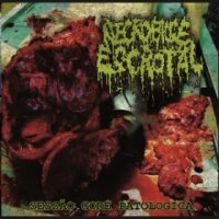 Necrobiose Escrotal - Sessão Gore Patologica (Compilation) (2015)