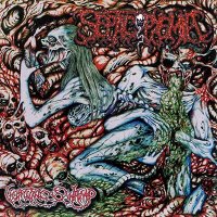 Septicopyemia - Vomiting Swamp (2006)