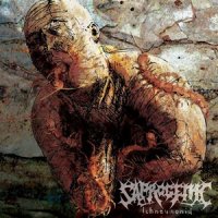 Saprogenic - Ichneumonid (2006)