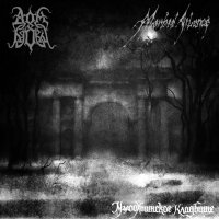 Дом Вдовы & Morbid Silence - Малоохтинское Кладбище (Split) (2012)