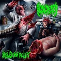 Bosedeath - Impaled From The Left (2014)