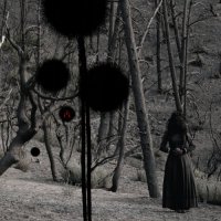 Isis - Not In Rivers, But In Drops (2008)