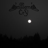 Stillborn\'s Cry - Cold Wind Blows My Breath Away (2012)