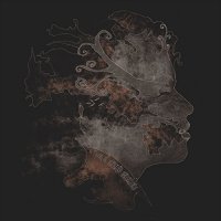 Amphetamin - A Flood of Strange Sensations (2016)