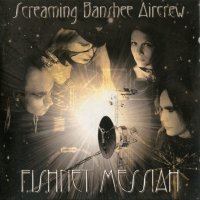 Screaming Banshee Aircrew - Fishnet Messiah (2006)