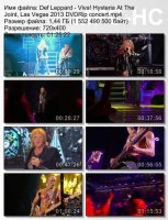 Def Leppard - Viva! Hysteria At The Joint, Las Vegas DVDRip (2013)