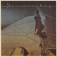 Necromonkey - A Glimpse Of Possible Endings (2014)
