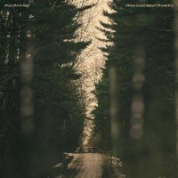 Front Porch Step - I Never Loved Before I Found You (2017)