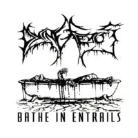 Dying Fetus - Bathe In Entrails (1993)