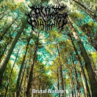 All Is At An End - Brutal Nature (2017)
