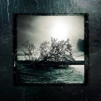 B.T.T. / Like Desolate Like True / Nihilism / Erkhrankung - 4 Way Split (2013)