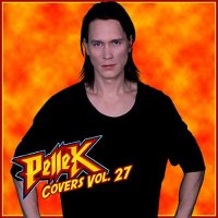 PelleK - Covers, Vol. 27 (2017)