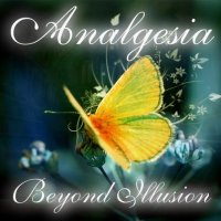 Analgesia - Beyond Illusion (2011)