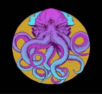 Electric Octopus - This Is Our Culture (2016)