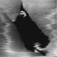 Witch in Her Tomb - Meditations (Compilation) (2016)