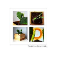 TourdeForce - Colours In Life (2010)