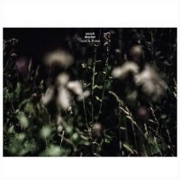 Anneli Drecker - Rocks & Straws (2015)