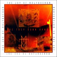 Trey Gunn - The Joy Of Molybdenum (2000)