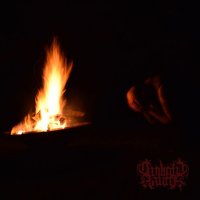 Twilight Fauna - The Year the Stars Fell (2017)