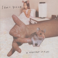 Sonic Youth - A Thousand Leaves (1998)