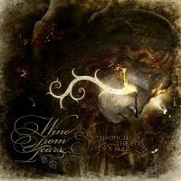 Wine From Tears - Through the Eyes of a Mad (2009)