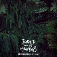 Impaled Upon the Mountains - Declaration of War (2017)