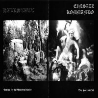 Einsatz Kommando & Hallstatt - The Forces Call & Battles for the Ancestral Lands (Split) (2001)