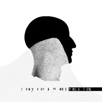 Pola Tog - Rayogrammes (2016)
