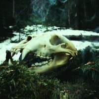 Arkheron Thodol - Thaw (2017)