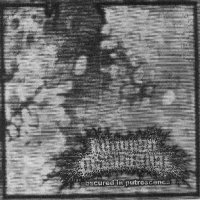 Inhuman Dissiliency - Obscured In Putrescence (2004)
