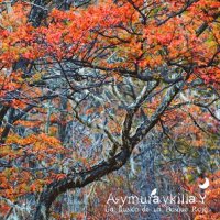 Aymuraykilla - La Ilusión De Un Bosque Rojo (2011)