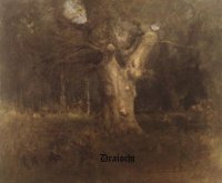 Draìocht - Summer Will Come (2012)