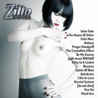 V/A - Zillo New Signs & Sounds 07-08 (2011)