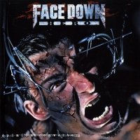 Face Down Hero - Opinion Converter (2007)